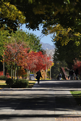 fall color